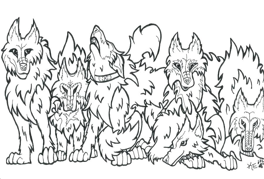 900x609 Anime Wolf Coloring Pages Anime Wolf Coloring Pages Wolf Pack