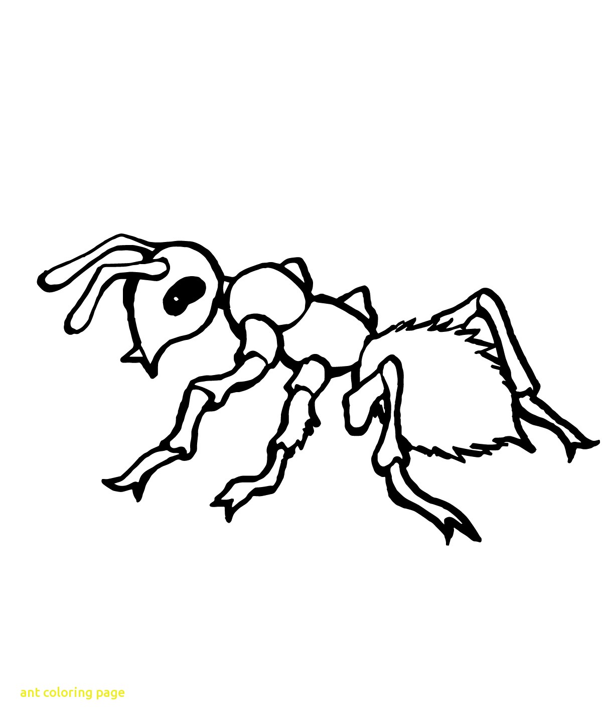 1200x1436 Ant Coloring Page With Printable Pages Wkwedding Co