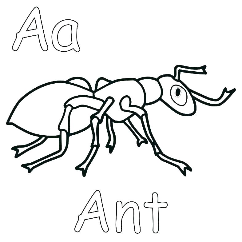 787x787 Anteater Coloring Page Ant Coloring Page Ants Coloring Pages Ants