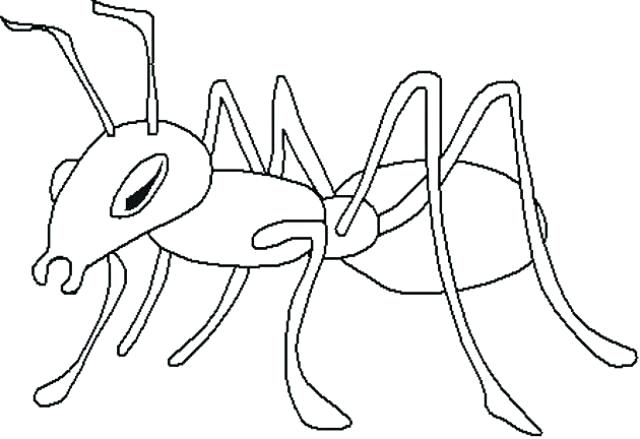 640x439 Flashlight Coloring Pages Also Ant Coloring Page 197