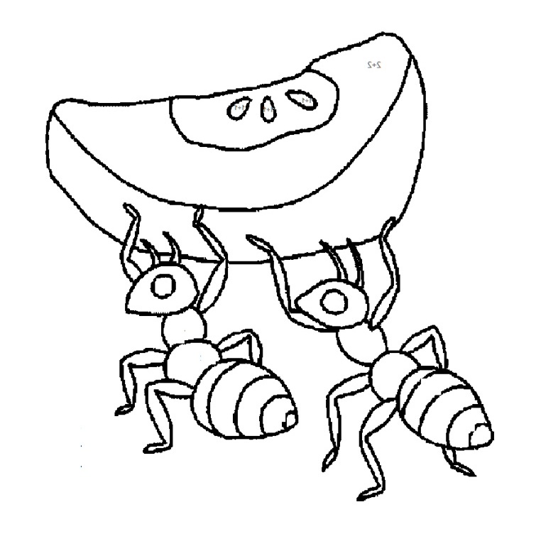 762x752 Fresh Ant Coloring Page 73 For Download With Ant Coloring Page