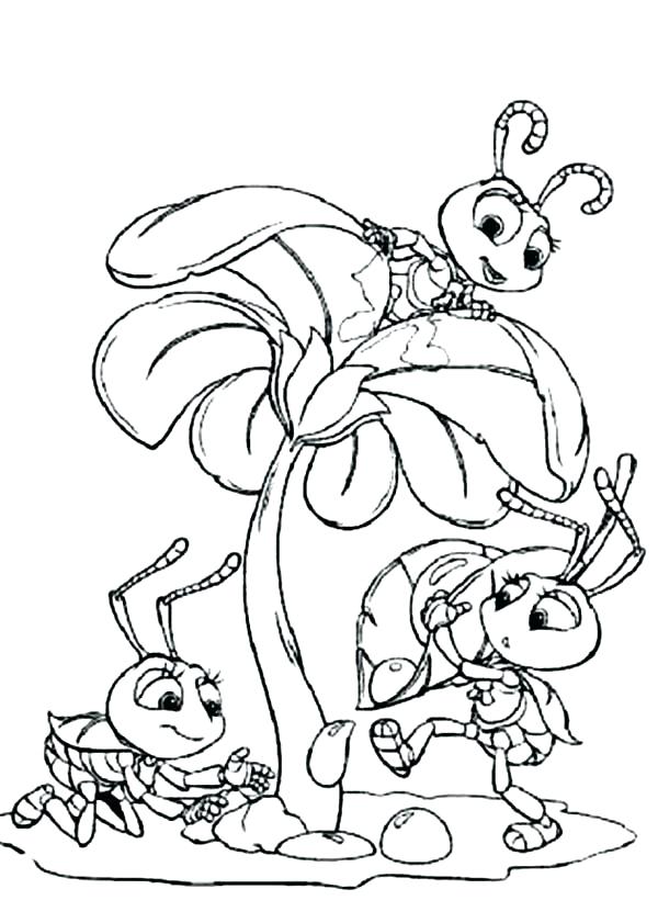 600x841 Ant Coloring Page