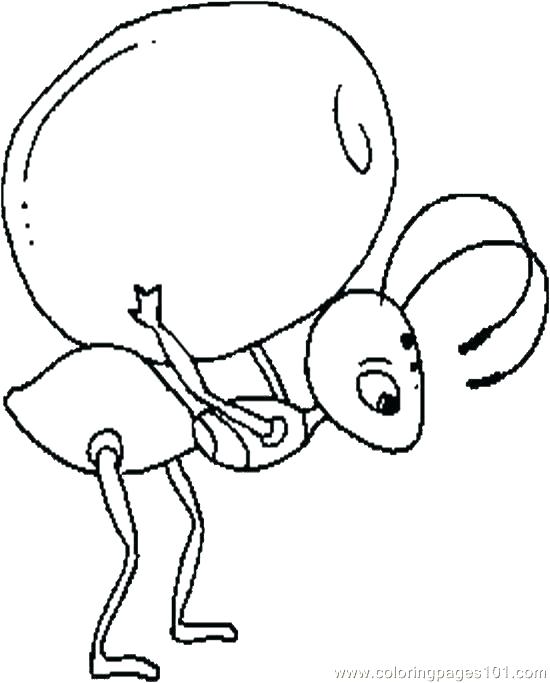 550x683 Ant Coloring Page Ants Coloring Pages Free Coloring Pages Of Ant