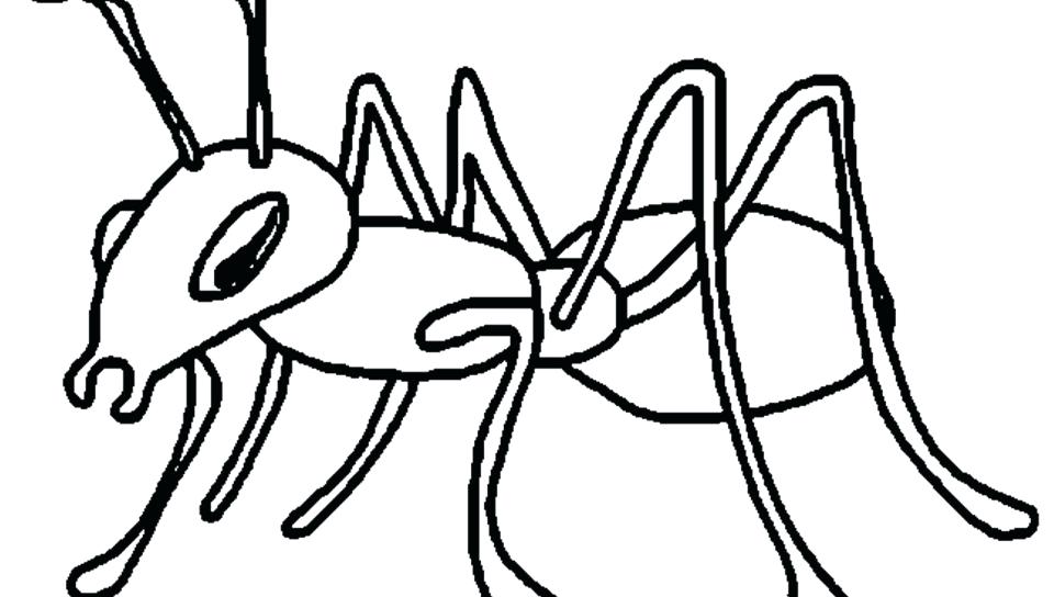 Ants Coloring Pages Kids Coloring Ants Party Between Grass 960x544 Ants Coloring Pages Kids Coloring Ants Party Between Grass