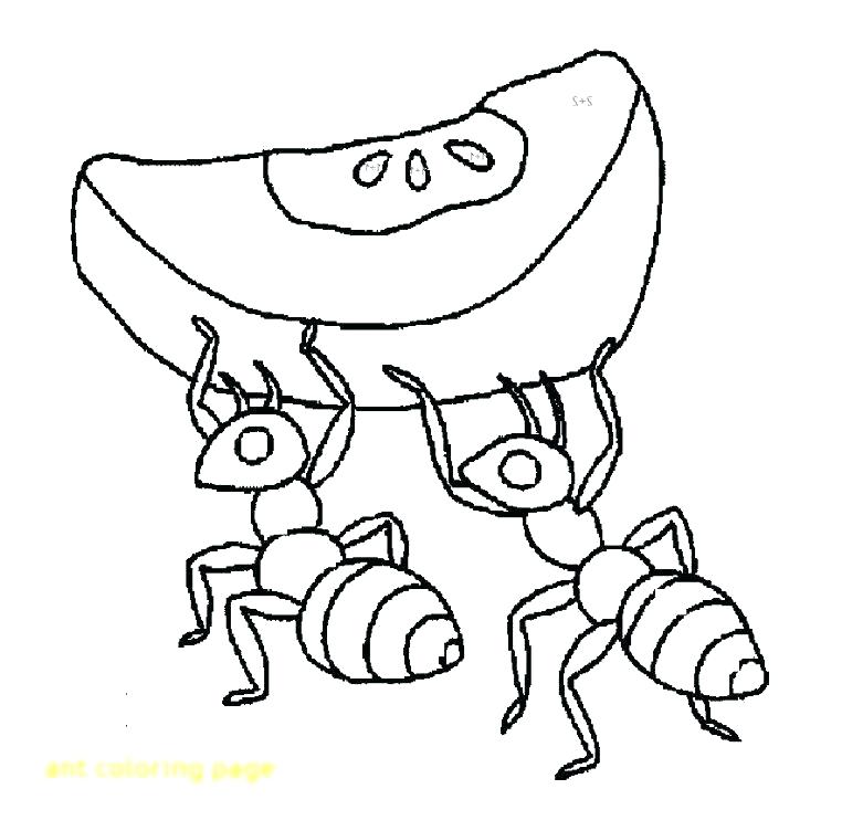 Coloring Pages Of Ants Ant Coloring Pages Ant Coloring Page 762x752 Coloring Pages Of Ants Ant Coloring Pages Ant Coloring Page