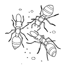 Marvelous Idea Ant Coloring Pages Ant 230x230 Marvelous Idea Ant Coloring Pages Ant