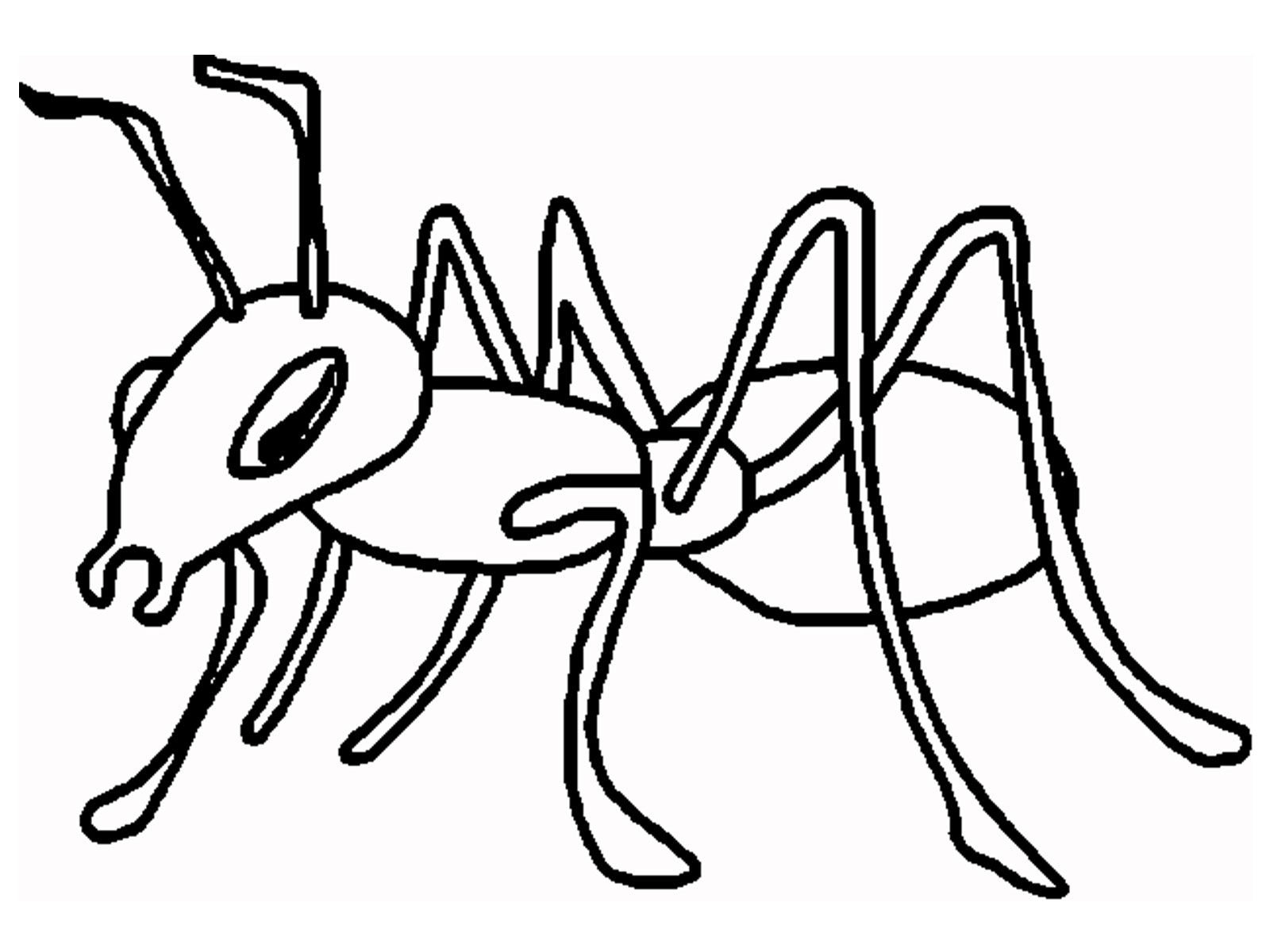 Ant Coloring Page Ant Cartoon And Printable Ants Coloring Pages 1600x1200 Ant Coloring Page Ant Cartoon And Printable Ants Coloring Pages