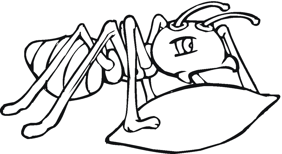 Ant Coloring Page Luxury Free Printable Ant Coloring Pages 1200x658 Ant Coloring Page Luxury Free Printable Ant Coloring Pages