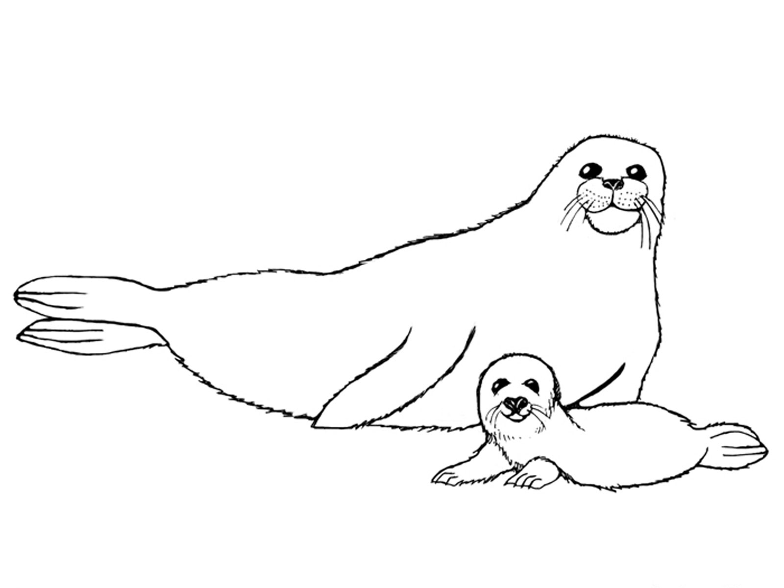 Antarctica Coloring Page