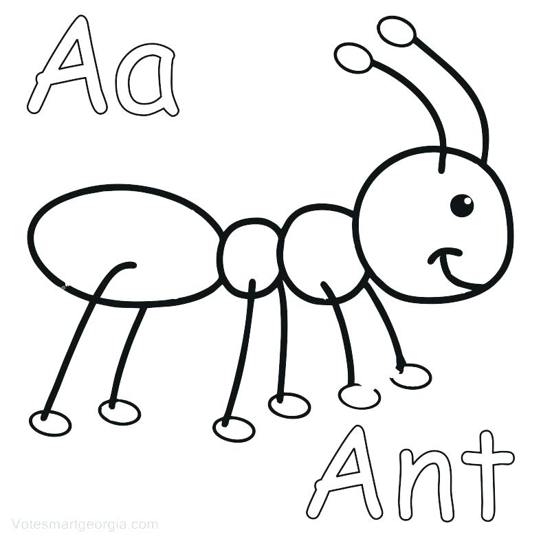 787x787 Anteater Coloring Page Ant Coloring Page Ant Coloring Page
