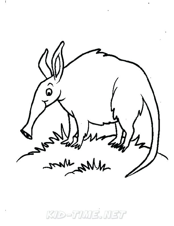 612x792 Anteater Coloring Page Ant Coloring Page Anteater Coloring Page