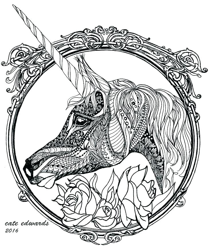 736x858 Anteater Coloring Page Anteater Coloring Page Anteater Coloring
