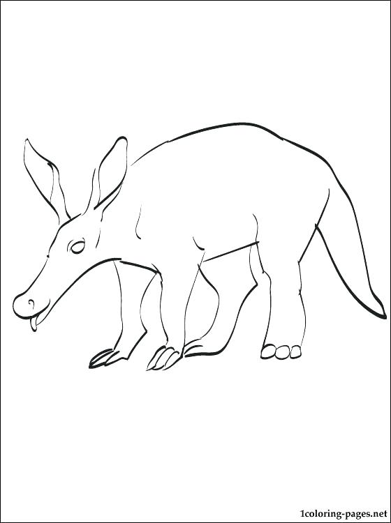 560x750 Anteater Coloring Page Anteater Coloring Page Giant Anteater