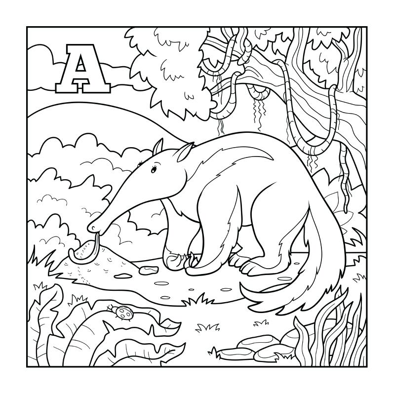 800x800 Anteater Coloring Page Anteater Face Coloring Pages Giant Anteater