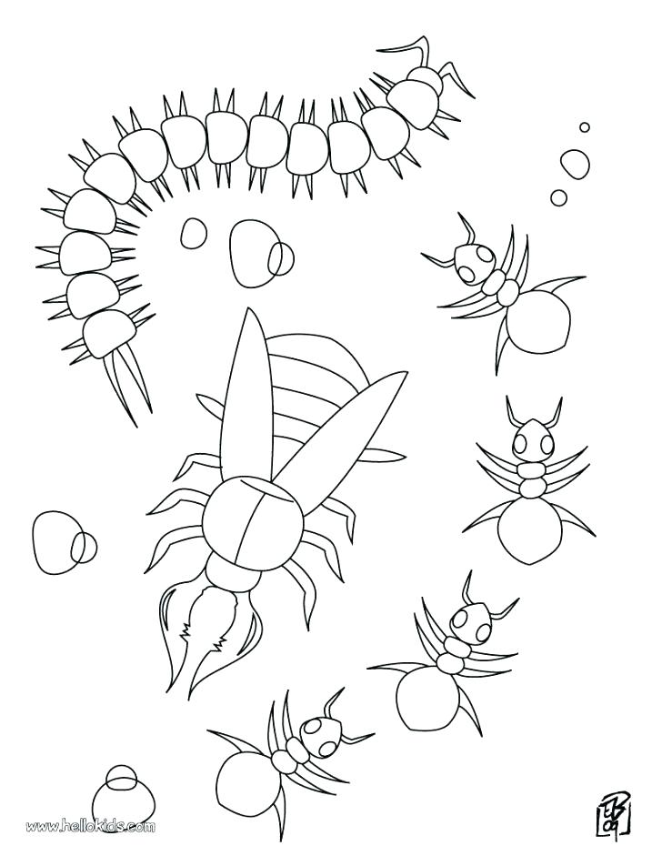 728x941 Anteater Coloring Page Centipede And Ants Coloring Pages Centipede