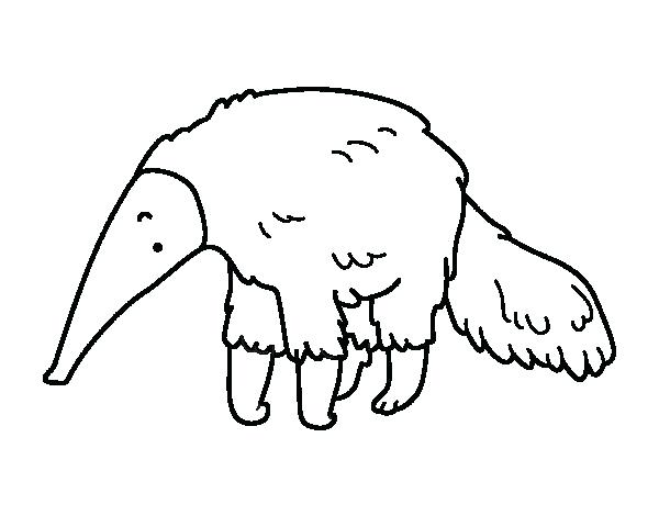 600x470 Anteater Coloring Page Surprise Anteater Coloring Page Furry Com
