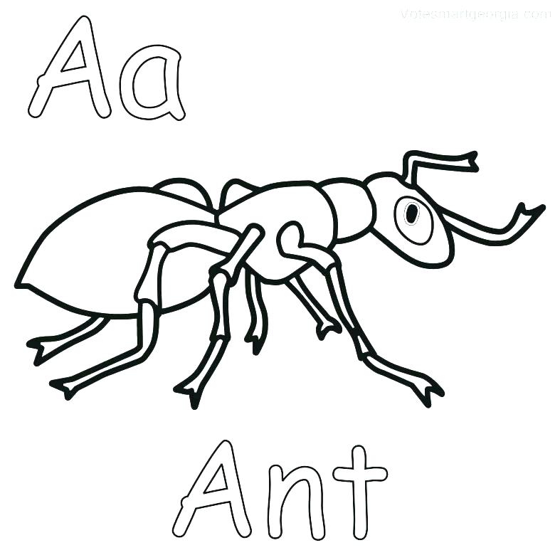 787x787 Ant Coloring Page Free Ants Coloring Pages Ant Anteater Coloring