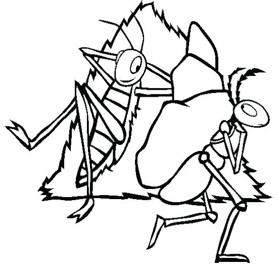 550x529 Coloring Pages Of Ants Anteater Coloring Page Ants Pages Lazy
