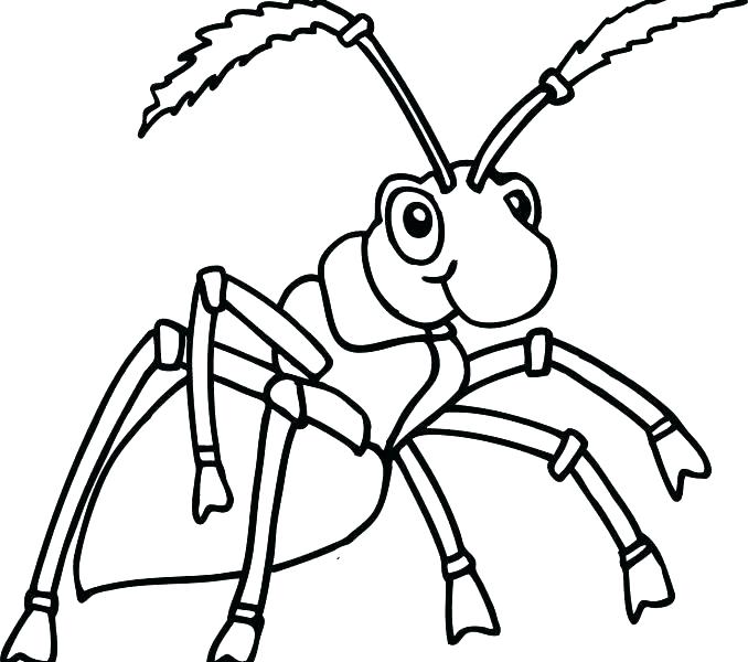 678x600 Stunning Ant Coloring Page Best Of Leaf Cutter Image Images Pages