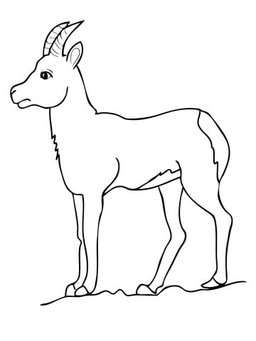Impala Antelope Coloring Page 360x480 Impala Antelope Coloring Page