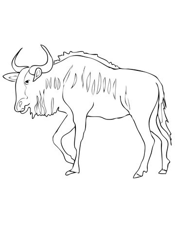 Blue Wildebeest Antelope Coloring Page.jpg Pixels Eddie 360x480 Blue Wildebeest Antelope Coloring Page.jpg Pixels Eddie