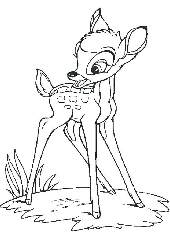 Deer Coloring Pages Deer Coloring Pages Top For Your Little Ones 557x784 Deer Coloring Pages Deer Coloring Pages Top For Your Little Ones