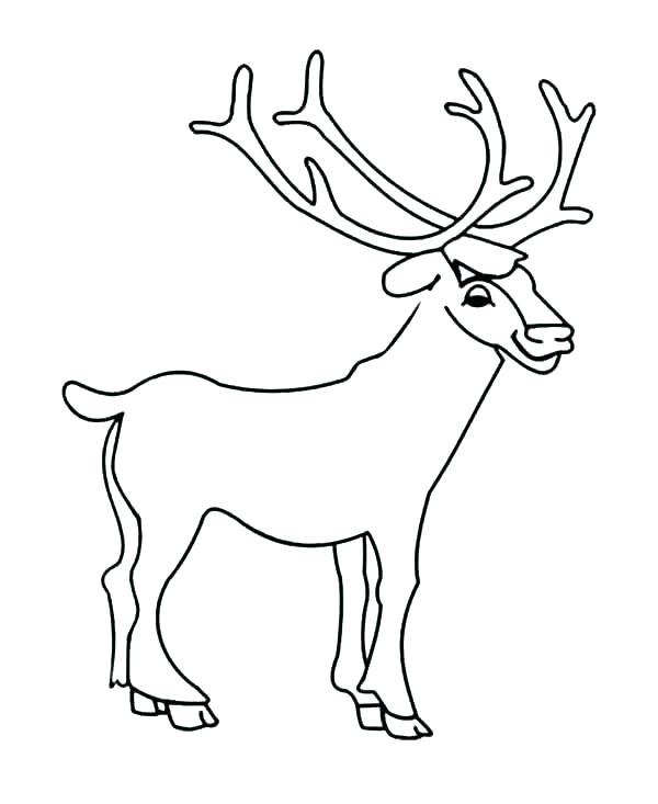 Elk Coloring Pages Coloring Pages Deer Coloring Pages Deer Elk 600x733 Elk Coloring Pages Coloring Pages Deer Coloring Pages Deer Elk