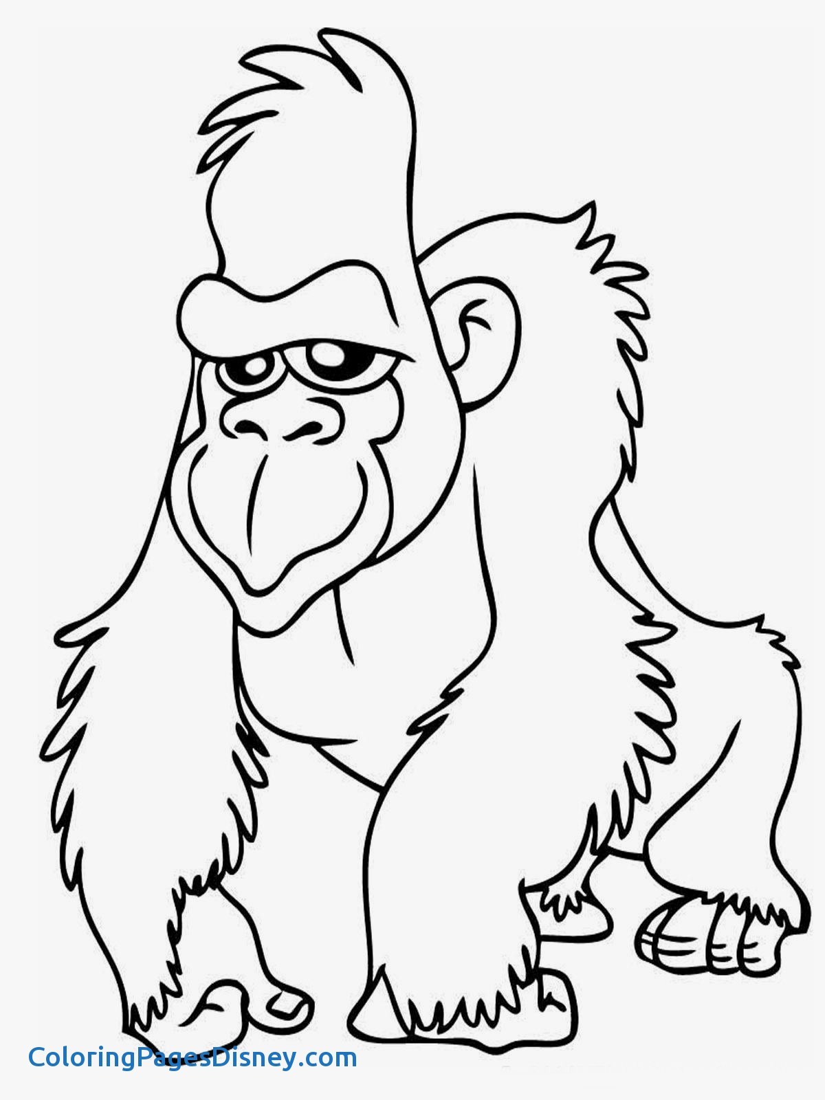 1200x1600 Ape Coloring Pages Unique Ape Coloring Pages Free Printable Ape