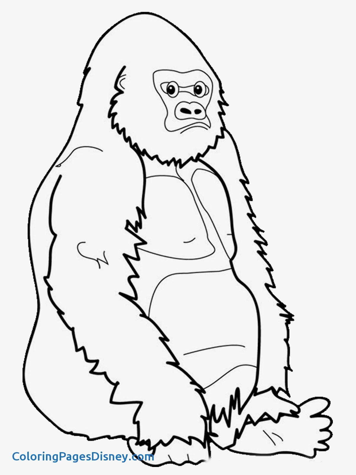 1200x1600 Fresh Ape Coloring Pages