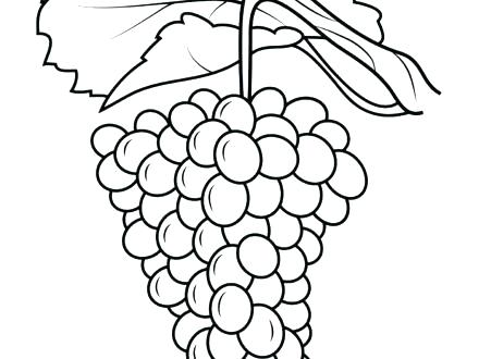 440x330 Grape Ape Coloring Pages Grapes Page Free Printable Fox
