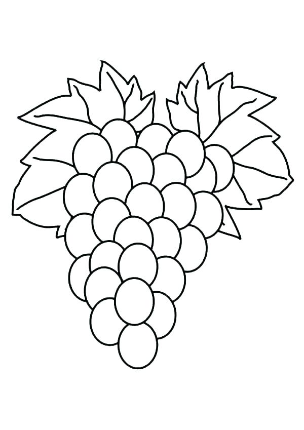 600x849 Grapes Coloring Page Grapes Colouring Page Preschool Coloring