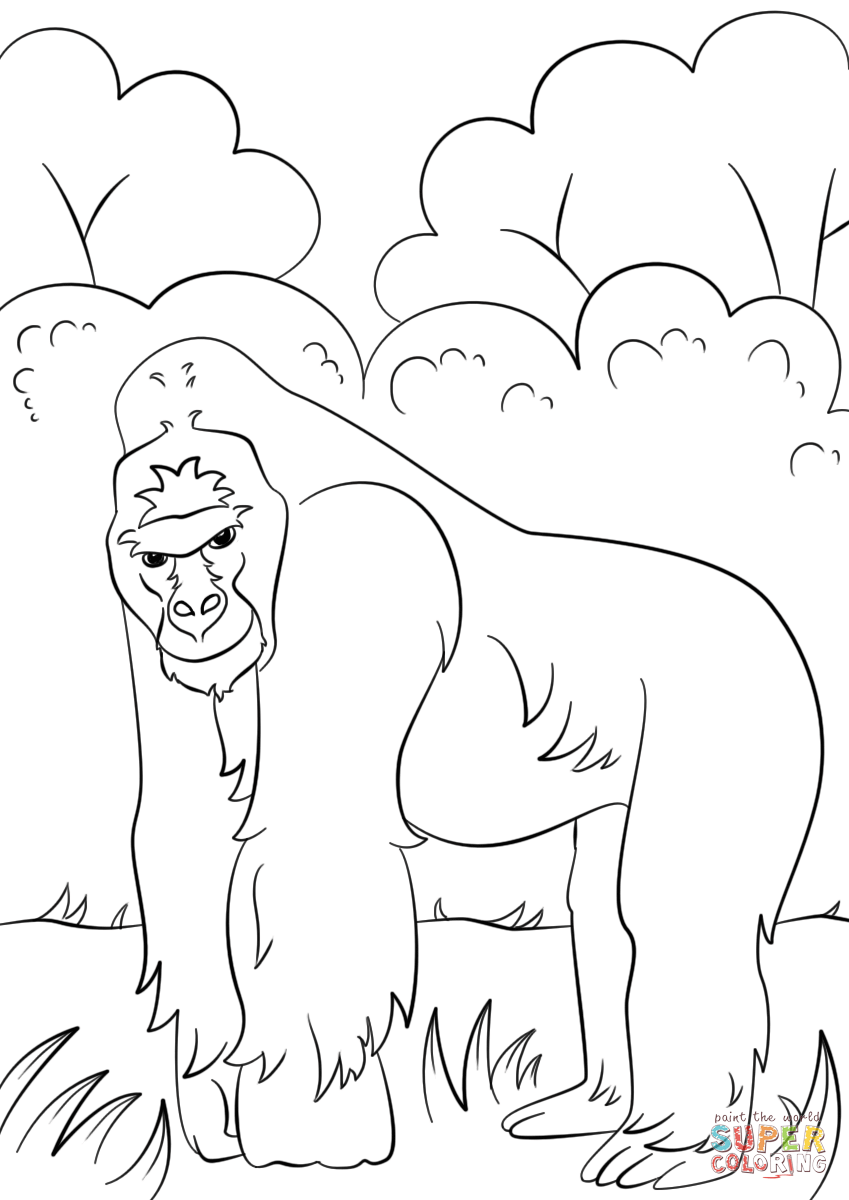 849x1200 Modest Gorilla Coloring Sheet Pages Powerful Ape 18 Printable Easy