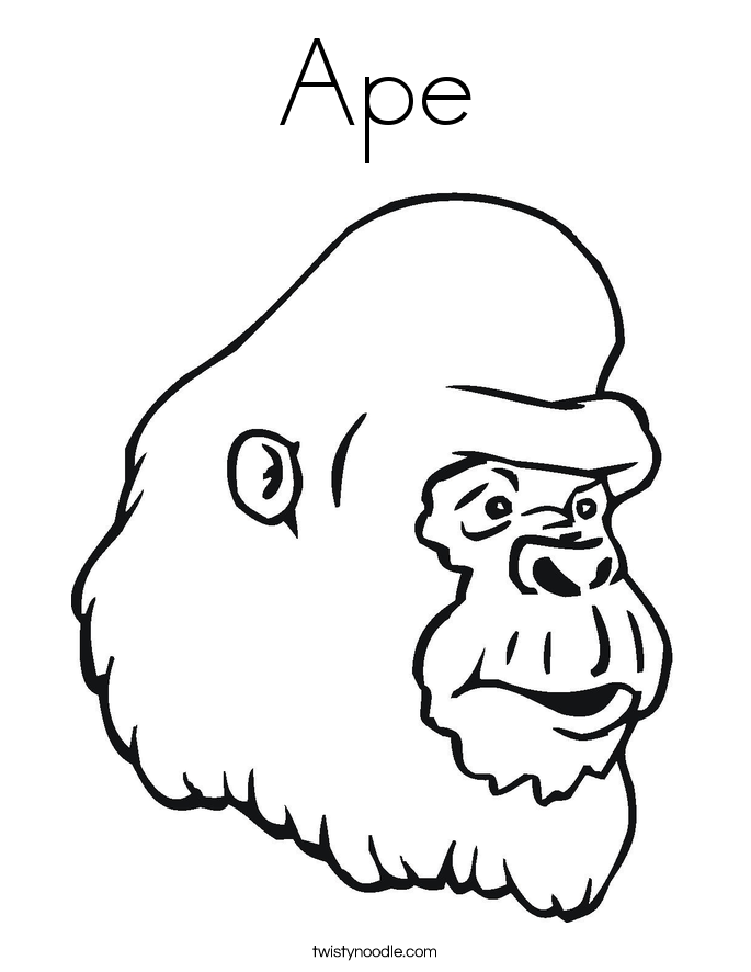 685x886 Ape Coloring Page
