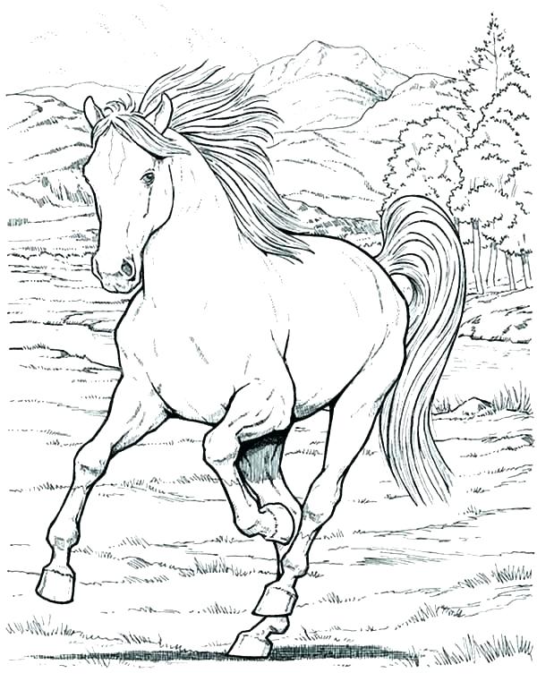 600x771 Horse Coloring Pages For Adults Plus Pretty Horses Coloring Pages