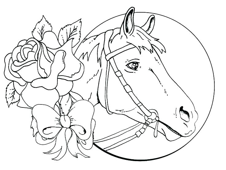 736x552 Breyer Coloring Pages Coloring Pages Horse For Girls And Free