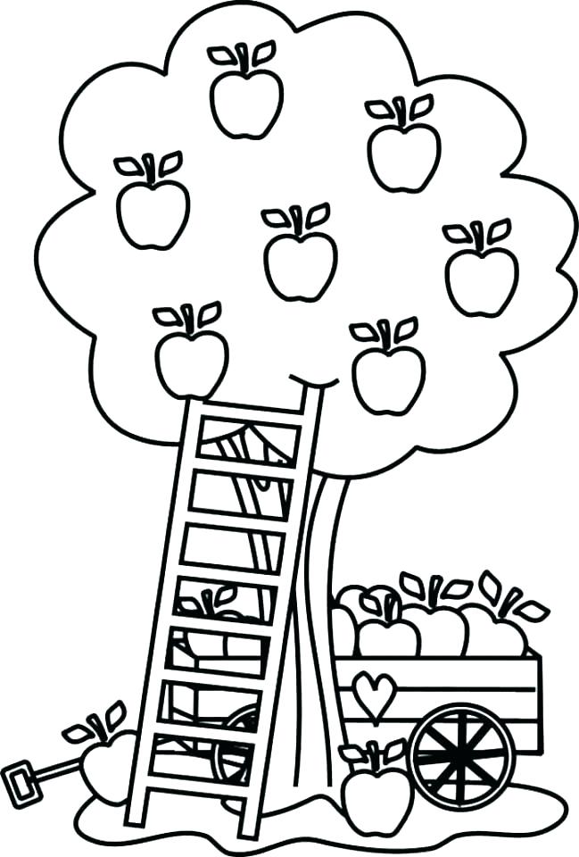 649x960 Apple Coloring Pages Apple Fruits Coloring Pages Fruit Coloring