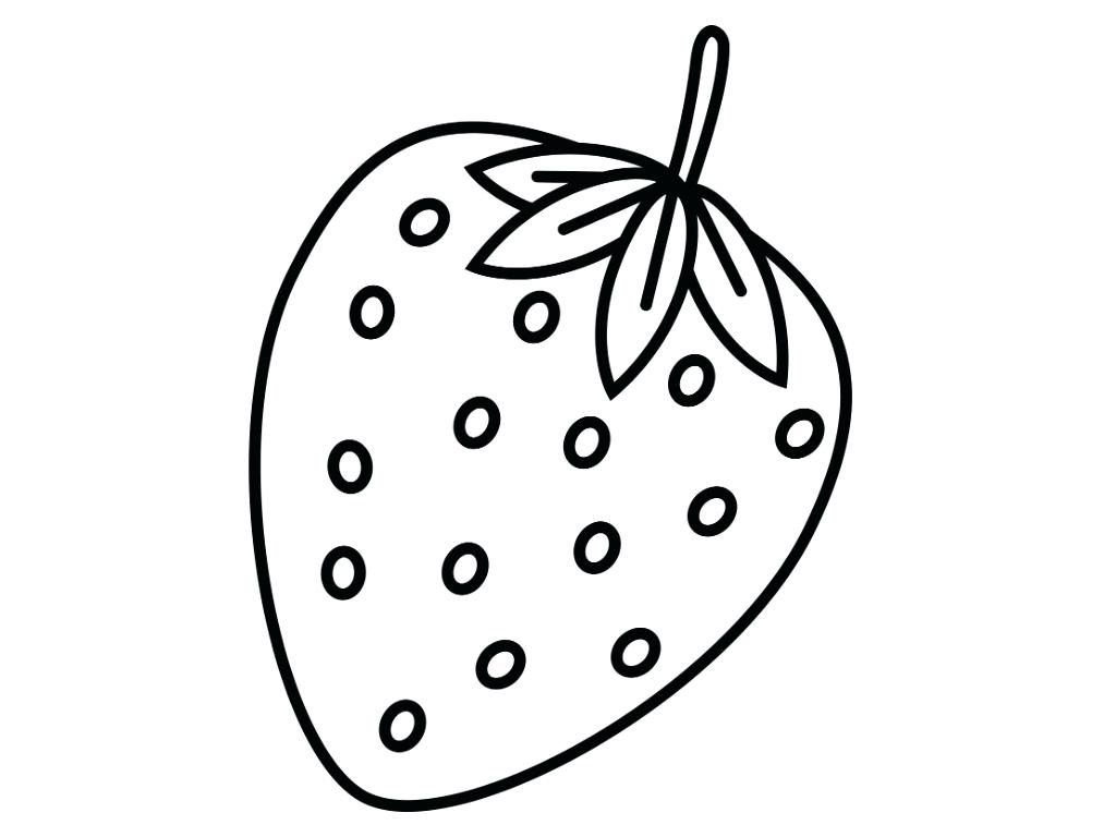 Apple Outline Free Pictures Images Download Fresh Fruit Coloring 1024x768 Apple Outline Free Pictures Images Download Fresh Fruit Coloring