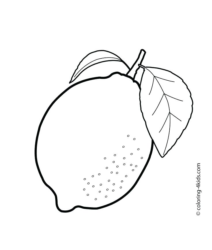 Printable Fruit Pictures Printable Fruit Coloring Pages Kids 736x865 Printable Fruit Pictures Printable Fruit Coloring Pages Kids