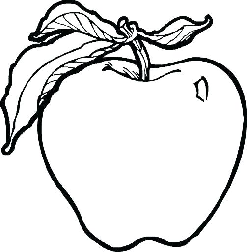 Apple Coloring Pages For Preschoolers Coloring Pages Apple Apple 503x512 Apple Coloring Pages For Preschoolers Coloring Pages Apple Apple