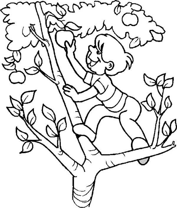 600x704 Fanciful Apple Tree Coloring Page Pages For Preschoolers