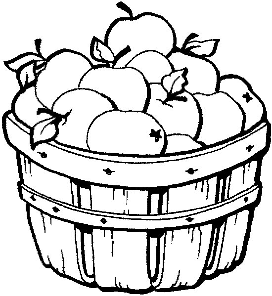550x599 Apple Coloring Pages California Apple Commission