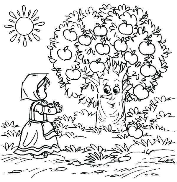 600x617 Apple Orchard Coloring Pages Tree Apples Page Nature Printable