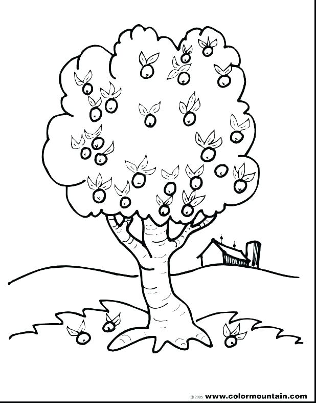 618x787 Tree Leaves Coloring Pages Kids Coloring Leaf Printable Coloring