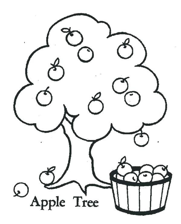 Apple Tree Coloring Page Apple Tree Coloring Page Realistic Apple 599x739 Apple Tree Coloring Page Apple Tree Coloring Page Realistic Apple