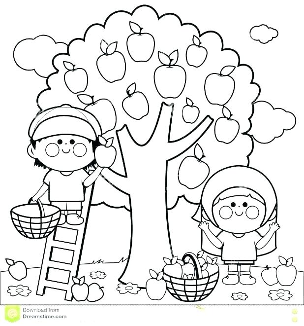 Apple Tree Coloring Page Apple Tree Coloring Sheet Apple Coloring 618x661 Apple Tree Coloring Page Apple Tree Coloring Sheet Apple Coloring