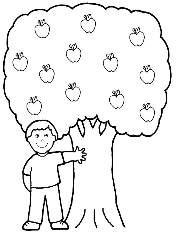 Apple Tree Coloring Page Apple Tree Coloring Sheets Printable 600x775 Apple Tree Coloring Page Apple Tree Coloring Sheets Printable