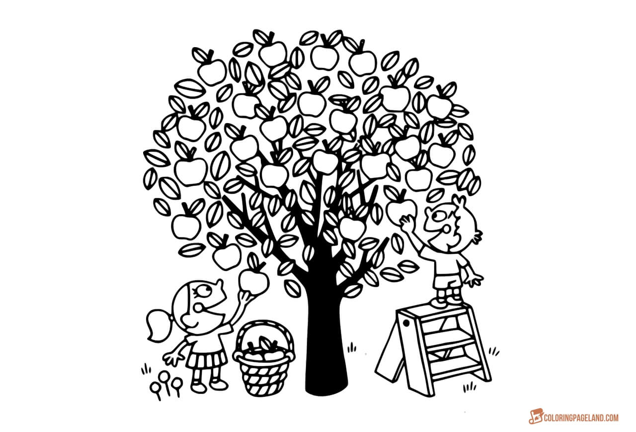 Apple Tree Coloring Pages 1280x870 Apple Tree Coloring Pages