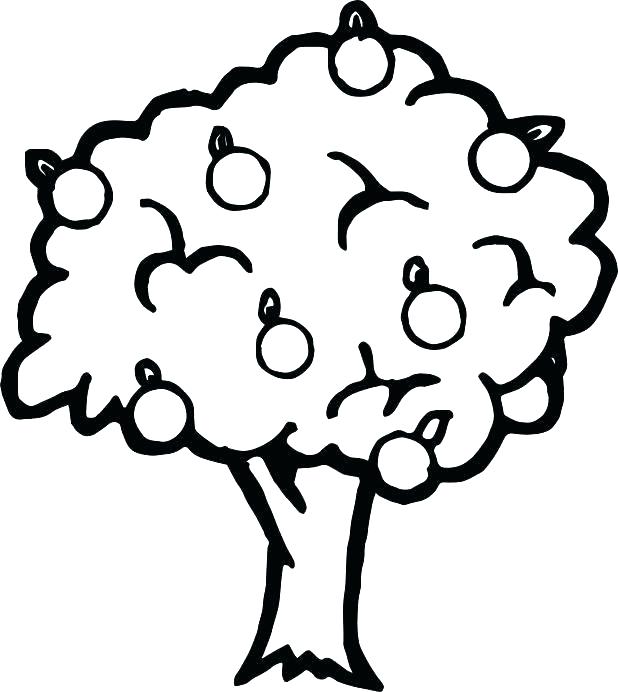 Apple Coloring Sheet Apple Tree Coloring Sheet Apple Tree Coloring 618x692 Apple Coloring Sheet Apple Tree Coloring Sheet Apple Tree Coloring