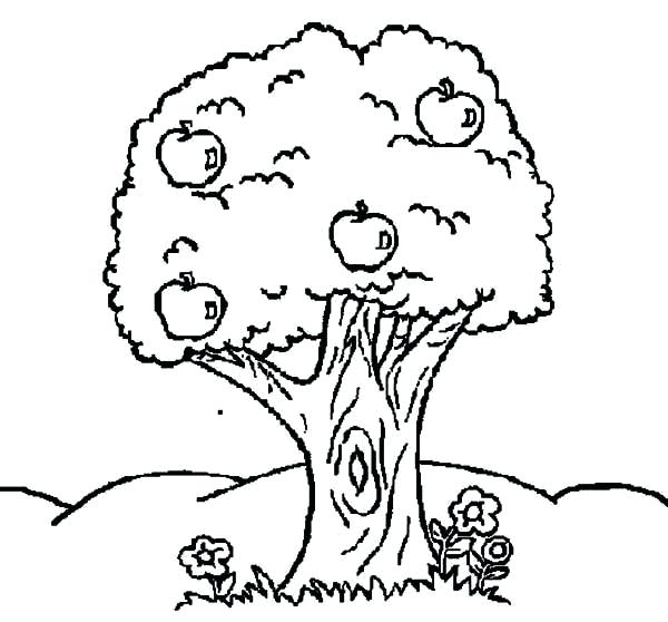 Apple Tree Coloring A Is For Apple Coloring Page Apple Coloring 600x558 Apple Tree Coloring A Is For Apple Coloring Page Apple Coloring