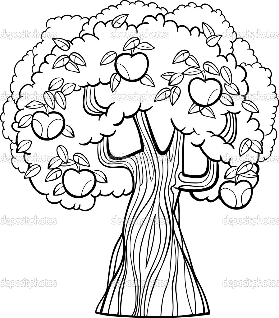 Scarce Fruit Tree Coloring Page Apple Capricus Me 898x1023 Scarce Fruit Tree Coloring Page Apple Capricus Me